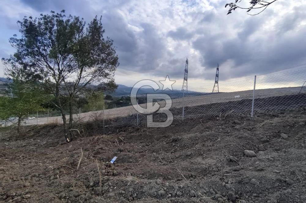 YALOVA ÇİFTLİKKÖY İLYASKÖY SATILIK TARLA YOL HAKKIN ALINMIŞ !. 