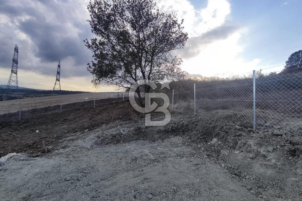 YALOVA ÇİFTLİKKÖY İLYASKÖY SATILIK TARLA YOL HAKKIN ALINMIŞ !. 