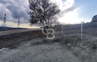 YALOVA ÇİFTLİKKÖY İLYASKÖY SATILIK TARLA YOL HAKKIN ALINMIŞ !. 