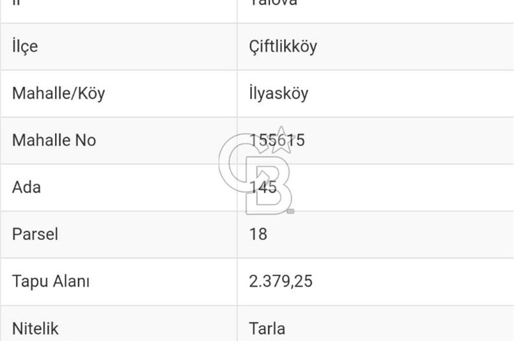 YALOVA ÇİFTLİKKÖY İLYASKÖY SATILIK TARLA YOL HAKKIN ALINMIŞ !. 