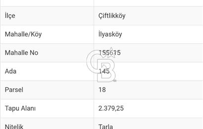 YALOVA ÇİFTLİKKÖY İLYASKÖY SATILIK TARLA YOL HAKKIN ALINMIŞ !. 