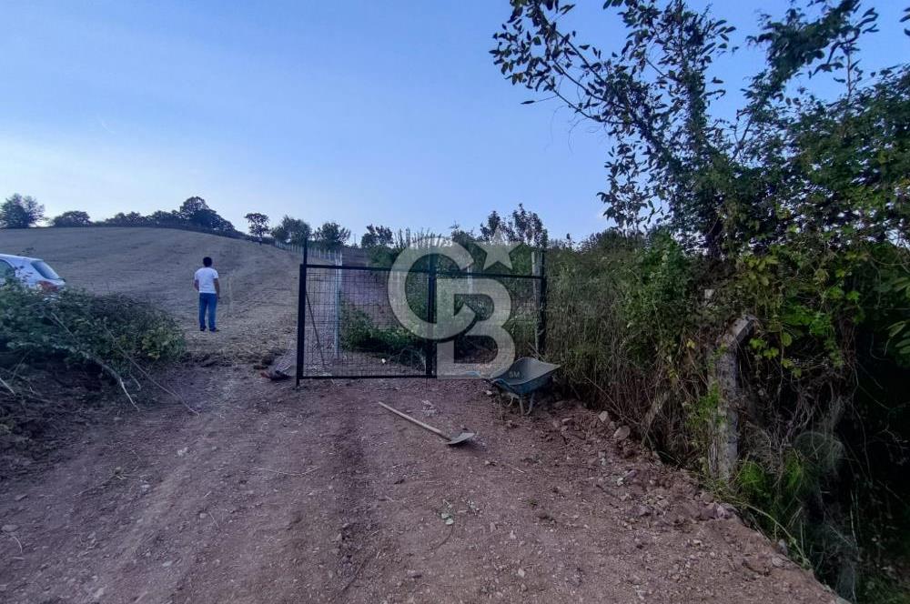 YALOVA ÇİFTLİKKÖY İLYASKÖY SATILIK TARLA YOL HAKKIN ALINMIŞ !. 