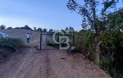 YALOVA ÇİFTLİKKÖY İLYASKÖY SATILIK TARLA YOL HAKKIN ALINMIŞ !. 