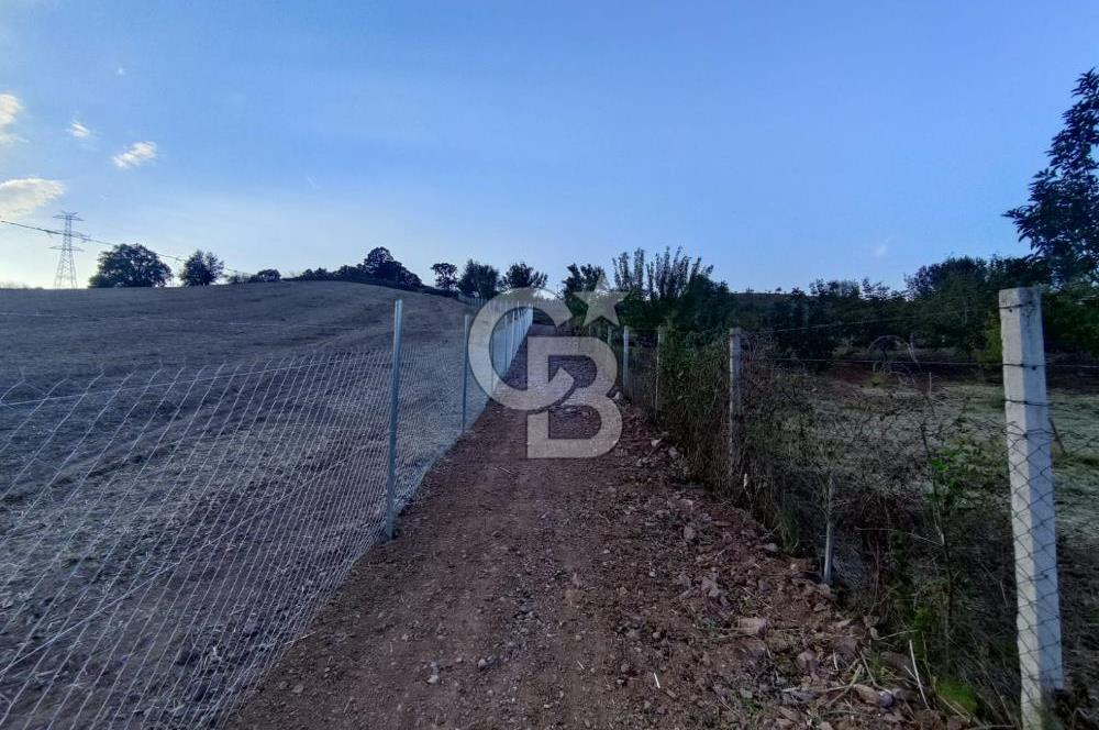 YALOVA ÇİFTLİKKÖY İLYASKÖY SATILIK TARLA YOL HAKKIN ALINMIŞ !. 