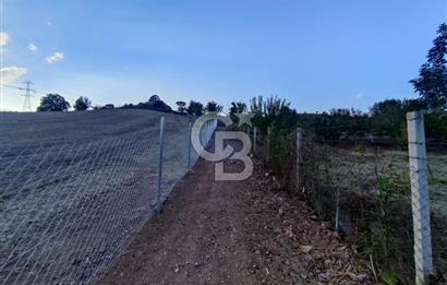 YALOVA ÇİFTLİKKÖY İLYASKÖY SATILIK TARLA YOL HAKKIN ALINMIŞ !. 