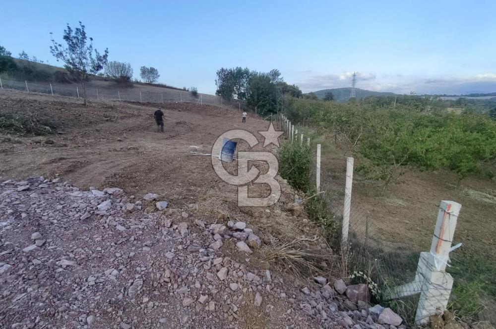 YALOVA ÇİFTLİKKÖY İLYASKÖY SATILIK TARLA YOL HAKKIN ALINMIŞ !. 
