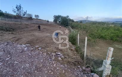 YALOVA ÇİFTLİKKÖY İLYASKÖY SATILIK TARLA YOL HAKKIN ALINMIŞ !. 