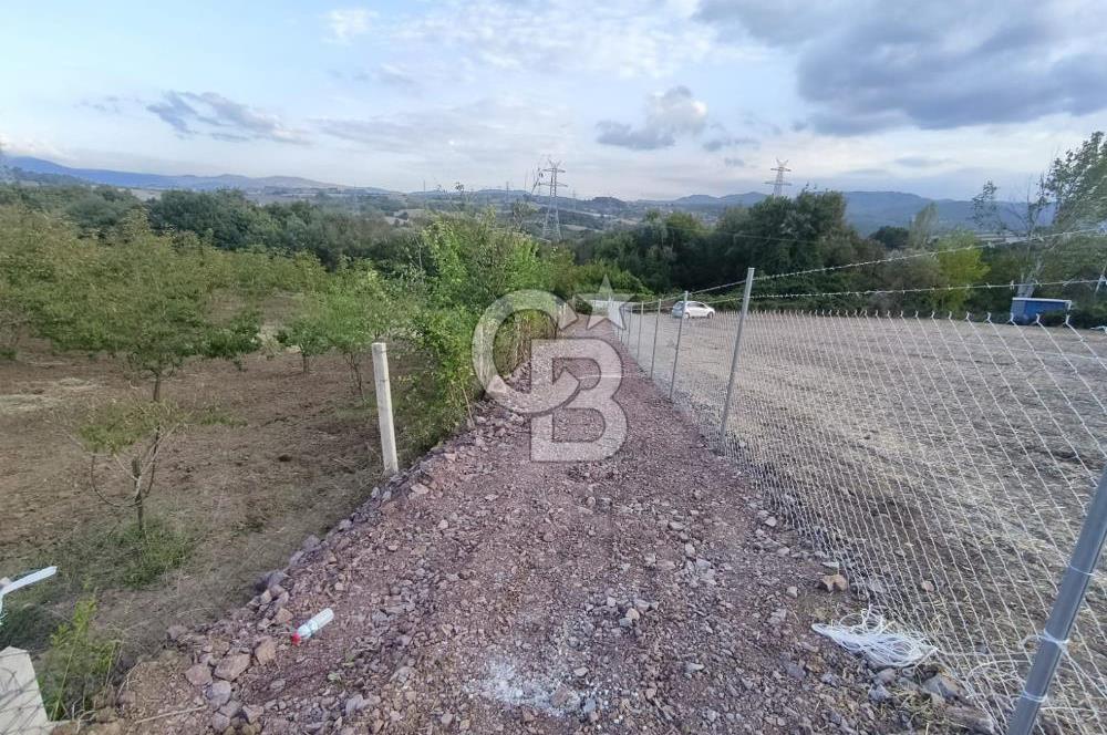 YALOVA ÇİFTLİKKÖY İLYASKÖY SATILIK TARLA YOL HAKKIN ALINMIŞ !. 