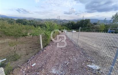 YALOVA ÇİFTLİKKÖY İLYASKÖY SATILIK TARLA YOL HAKKIN ALINMIŞ !. 