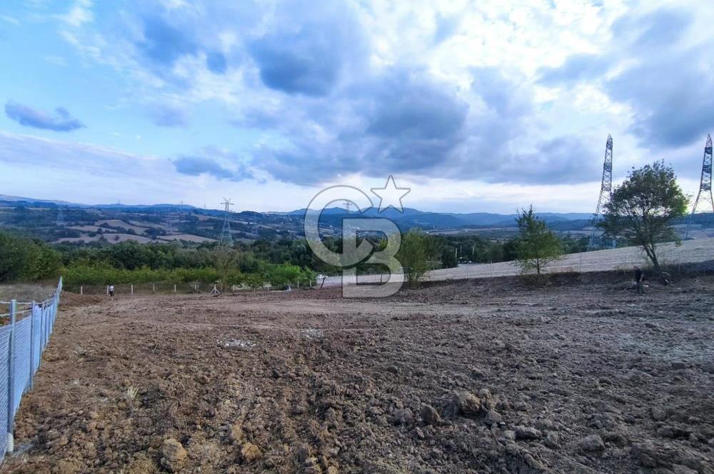 YALOVA ÇİFTLİKKÖY İLYASKÖY SATILIK TARLA YOL HAKKIN ALINMIŞ !. 