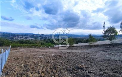 YALOVA ÇİFTLİKKÖY İLYASKÖY SATILIK TARLA YOL HAKKIN ALINMIŞ !. 