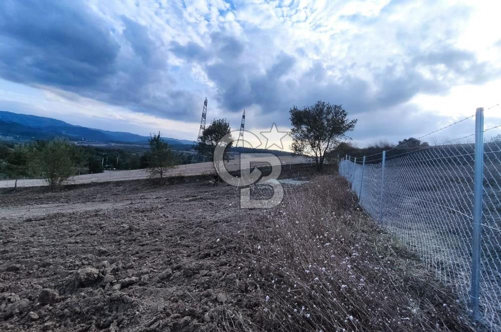YALOVA ÇİFTLİKKÖY İLYASKÖY SATILIK TARLA YOL HAKKIN ALINMIŞ !. 