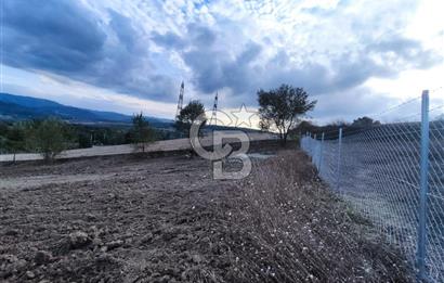 YALOVA ÇİFTLİKKÖY İLYASKÖY SATILIK TARLA YOL HAKKIN ALINMIŞ !. 