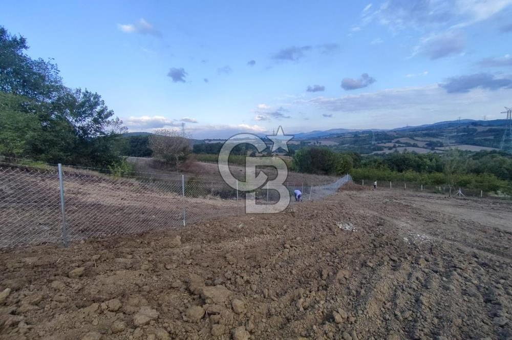 YALOVA ÇİFTLİKKÖY İLYASKÖY SATILIK TARLA YOL HAKKIN ALINMIŞ !. 