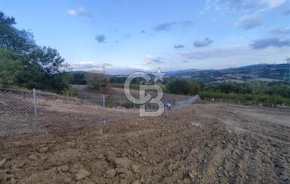 YALOVA ÇİFTLİKKÖY İLYASKÖY SATILIK TARLA YOL HAKKIN ALINMIŞ !. 