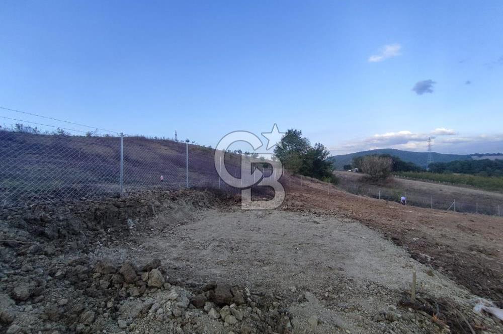 YALOVA ÇİFTLİKKÖY İLYASKÖY SATILIK TARLA YOL HAKKIN ALINMIŞ !. 