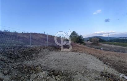 YALOVA ÇİFTLİKKÖY İLYASKÖY SATILIK TARLA YOL HAKKIN ALINMIŞ !. 