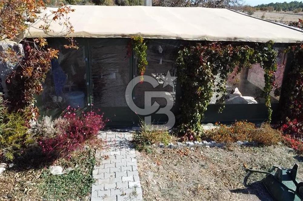 Asos Behram köyünde SATILIK içerisinde ağaçlar dikilmiş tarla