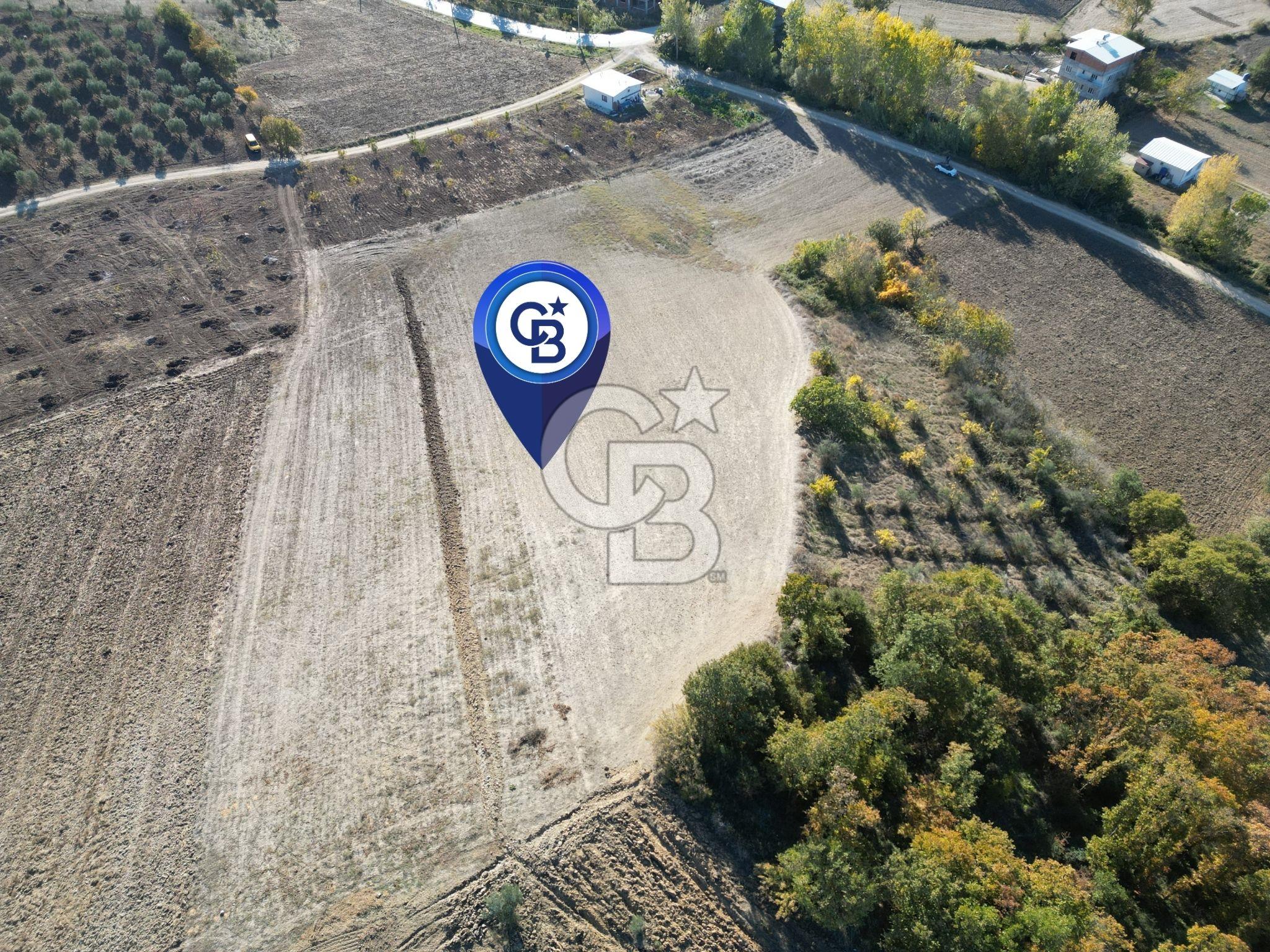 BURSA, NİLÜFER ÇAYLI da SATILIK 11.600 M2 ARAZİ
