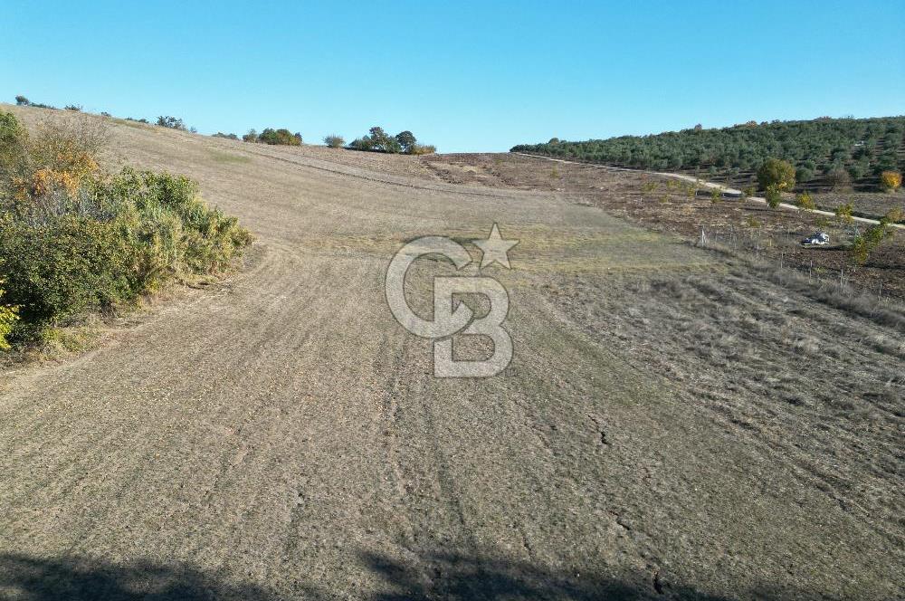 BURSA, NİLÜFER ÇAYLI da SATILIK 11.600 M2 ARAZİ