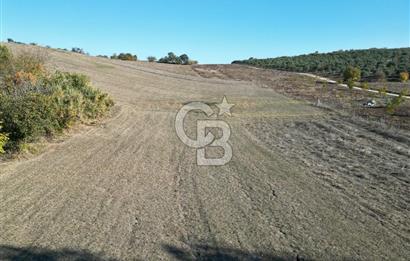 BURSA, NİLÜFER ÇAYLI da SATILIK 11.600 M2 ARAZİ
