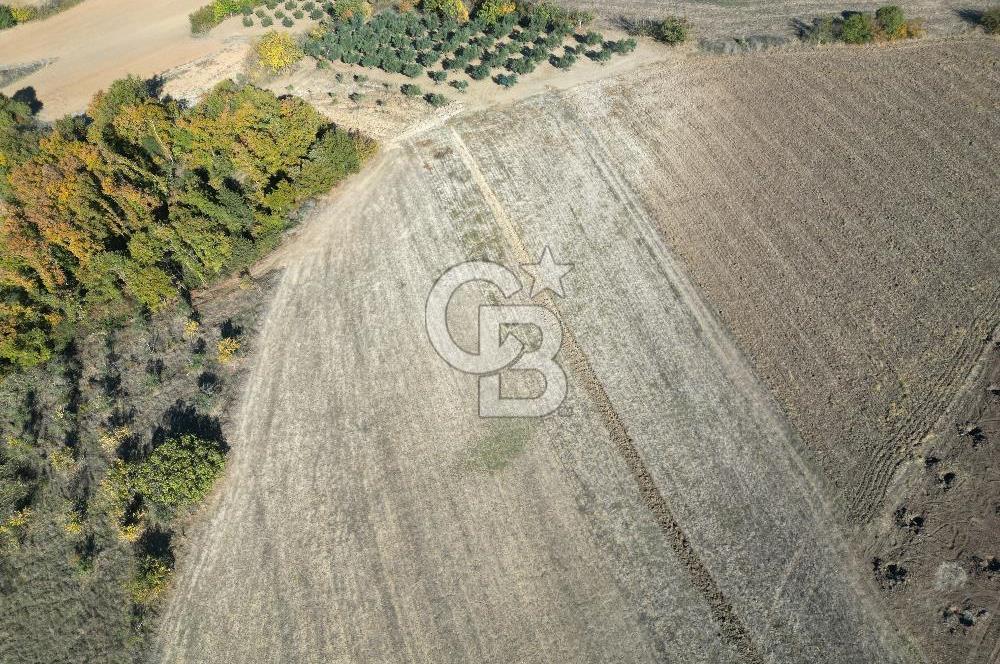 BURSA, NİLÜFER ÇAYLI da SATILIK 11.600 M2 ARAZİ