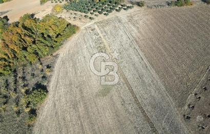 BURSA, NİLÜFER ÇAYLI da SATILIK 11.600 M2 ARAZİ