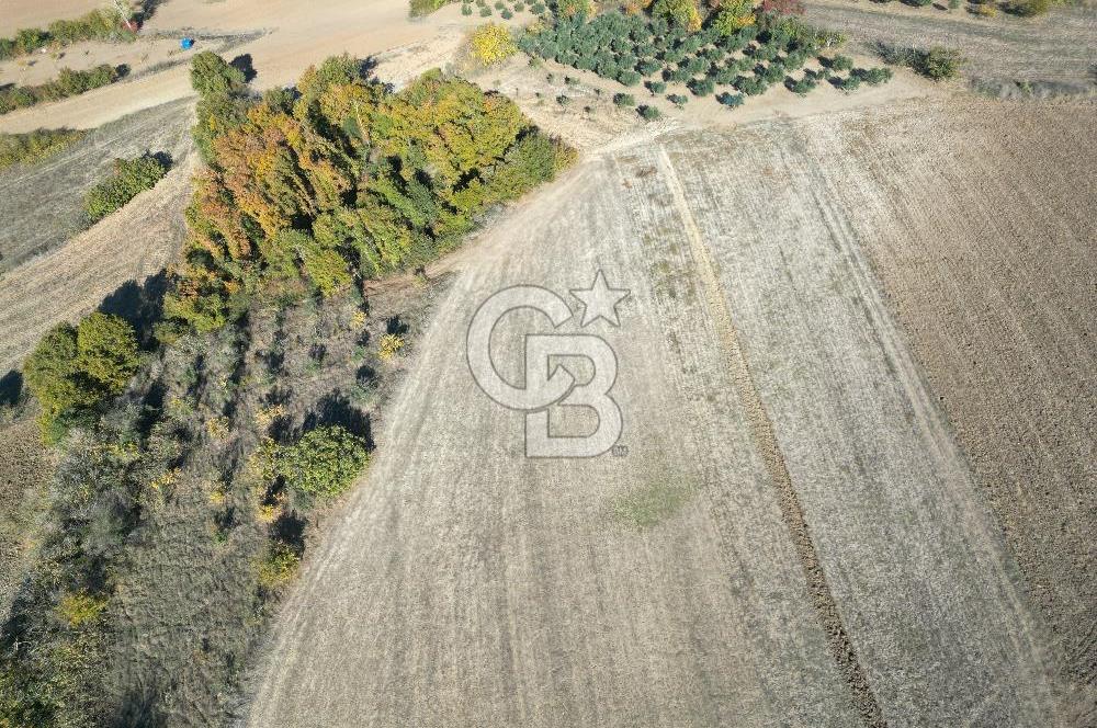 BURSA, NİLÜFER ÇAYLI da SATILIK 11.600 M2 ARAZİ