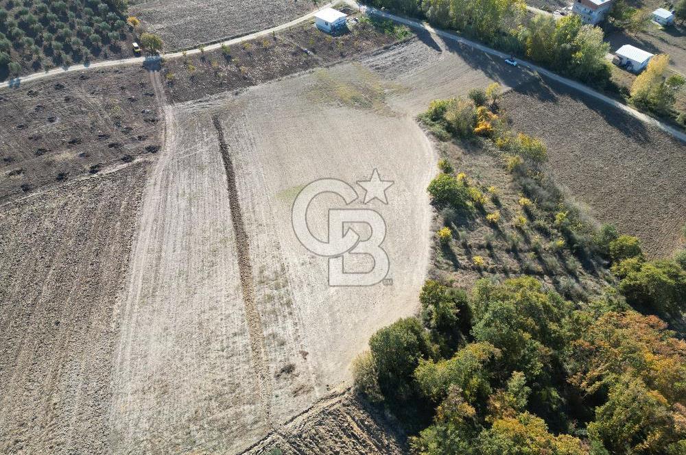 BURSA, NİLÜFER ÇAYLI da SATILIK 11.600 M2 ARAZİ