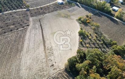 BURSA, NİLÜFER ÇAYLI da SATILIK 11.600 M2 ARAZİ
