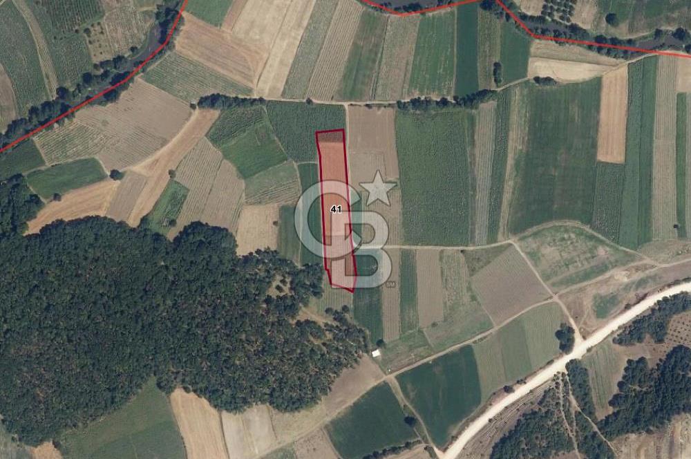 BURSA, NİLÜFER ÇAYLI da SATILIK 6.400 M2 ARAZİ