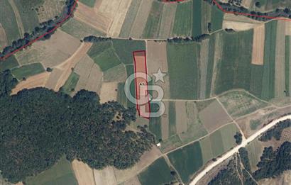 BURSA, NİLÜFER ÇAYLI da SATILIK 6.400 M2 ARAZİ