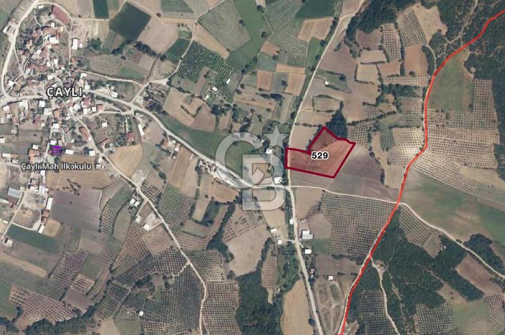 BURSA, NİLÜFER ÇAYLI da SATILIK 11.600 M2 ARAZİ