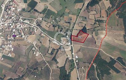 BURSA, NİLÜFER ÇAYLI da SATILIK 11.600 M2 ARAZİ