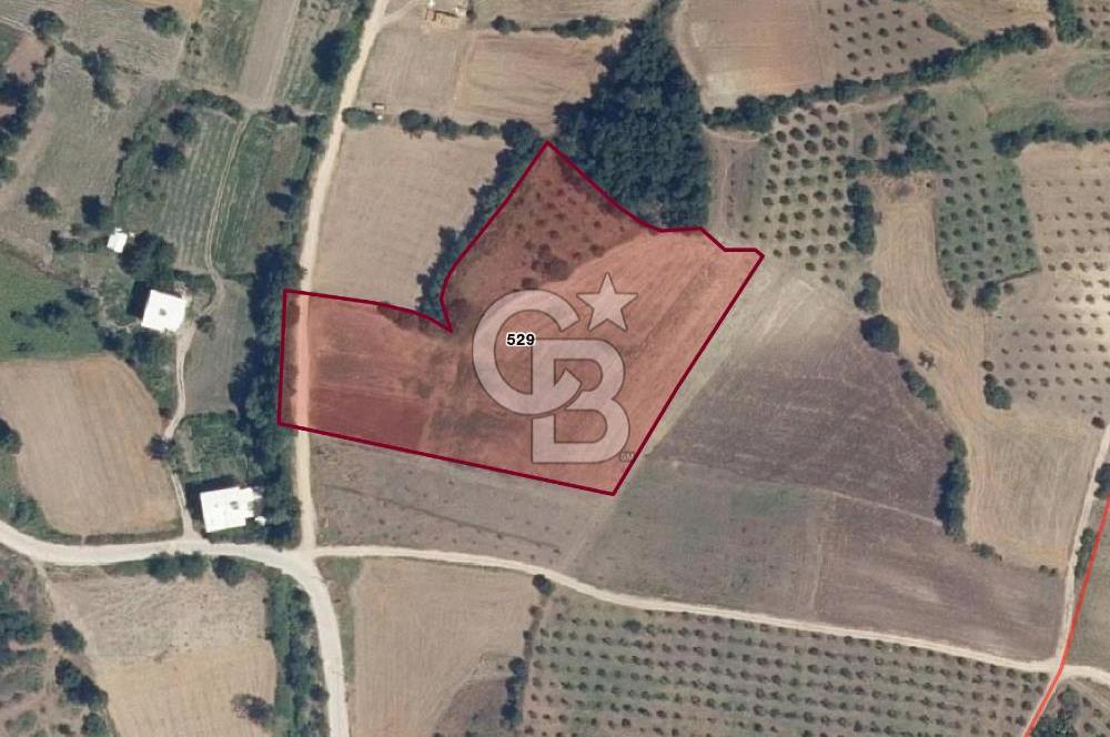 BURSA, NİLÜFER ÇAYLI da SATILIK 11.600 M2 ARAZİ