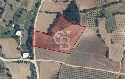 BURSA, NİLÜFER ÇAYLI da SATILIK 11.600 M2 ARAZİ