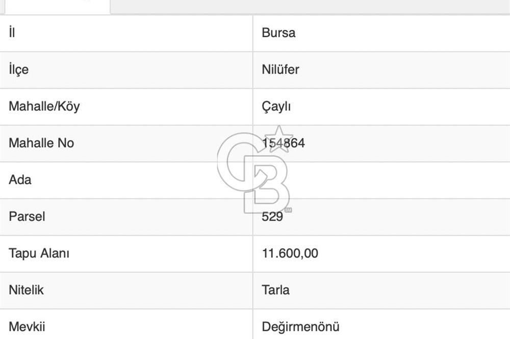 BURSA, NİLÜFER ÇAYLI da SATILIK 11.600 M2 ARAZİ