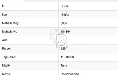BURSA, NİLÜFER ÇAYLI da SATILIK 11.600 M2 ARAZİ
