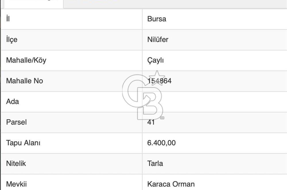 BURSA, NİLÜFER ÇAYLI da SATILIK 6.400 M2 ARAZİ