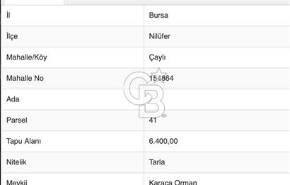 BURSA, NİLÜFER ÇAYLI da SATILIK 6.400 M2 ARAZİ