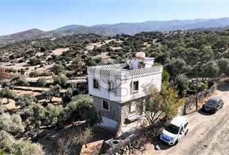 AYDIN KOÇARLI GÜDÜŞLÜ DE İÇİNDE EVİ BULUNAN ZEYTİNLİK