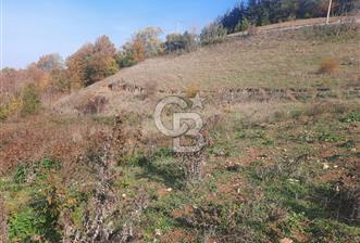 Karamürsel Çamdibi Satılık 335 m2 Konut İmarlı Arsa