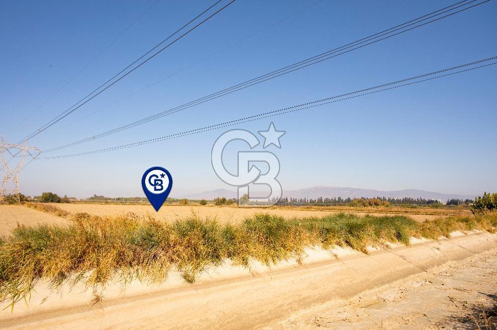 Menemen Ulukent Ovasında Satılık 16.050m2 Tarla