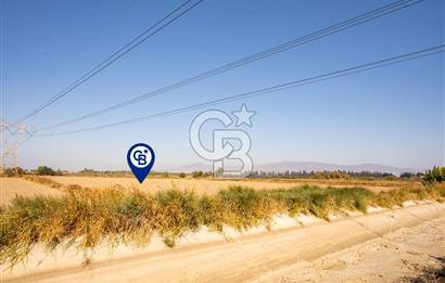 Menemen Ulukent Ovasında Satılık 16.050m2 Tarla