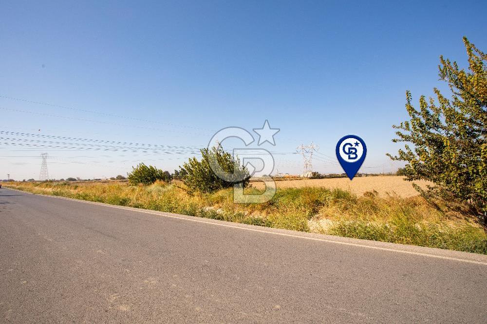 Menemen Ulukent Ovasında Satılık 16.050m2 Tarla