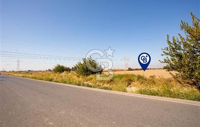 Menemen Ulukent Ovasında Satılık 16.050m2 Tarla