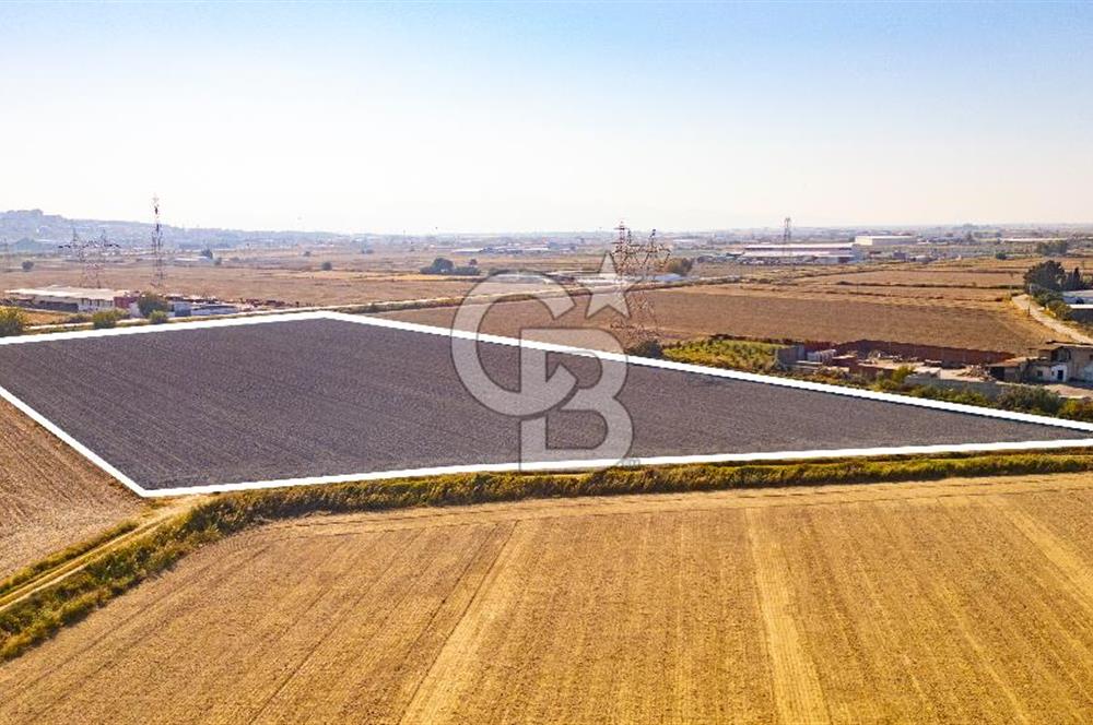 Menemen Ulukent Ovasında Satılık 16.050m2 Tarla