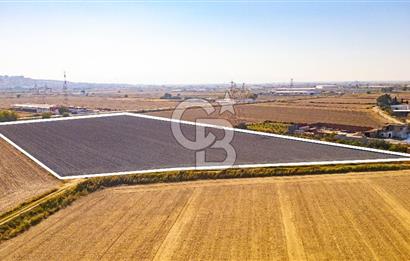 Menemen Ulukent Ovasında Satılık 16.050m2 Tarla