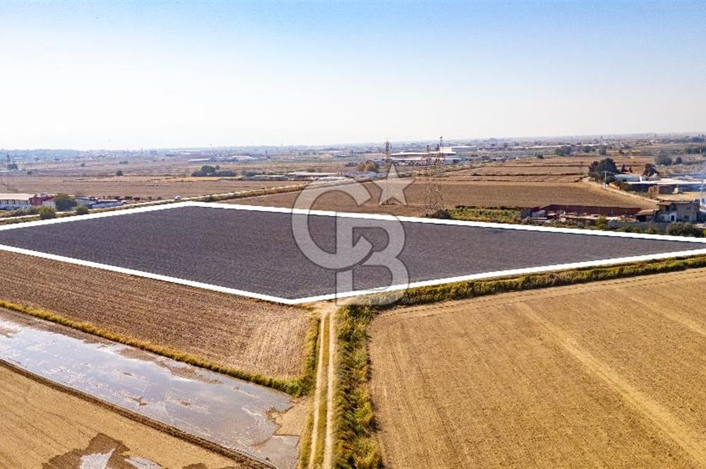 Menemen Ulukent Ovasında Satılık 16.050m2 Tarla
