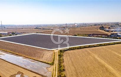 Menemen Ulukent Ovasında Satılık 16.050m2 Tarla